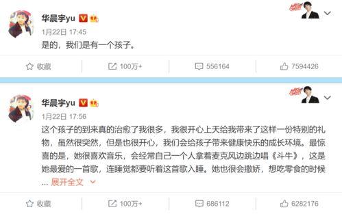 娱乐吃瓜群众华晨宇,娱乐界的“瓜王”传奇